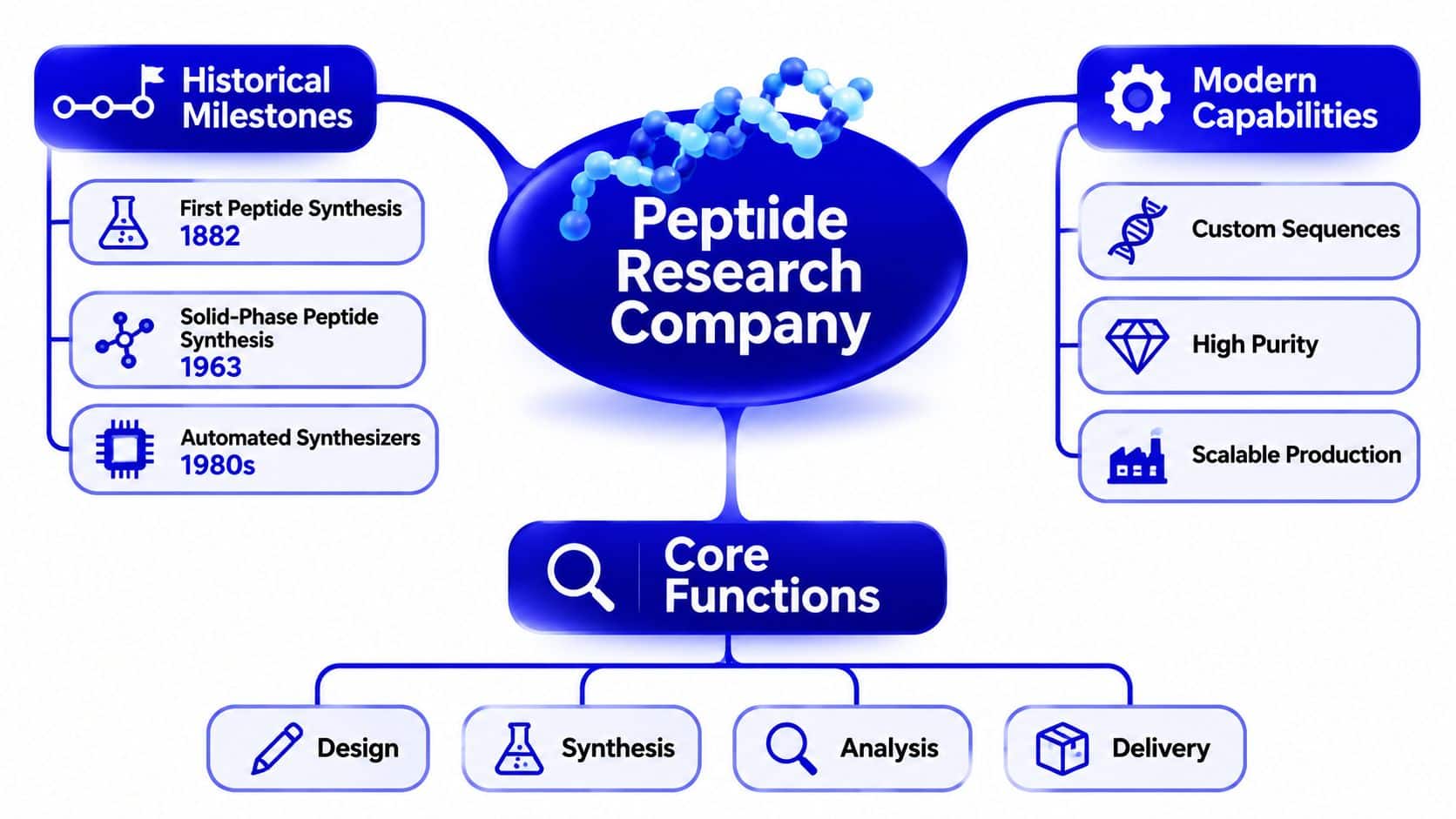 A diagram outlining the history, modern capabilities, and core functions of a professional peptide research company.
