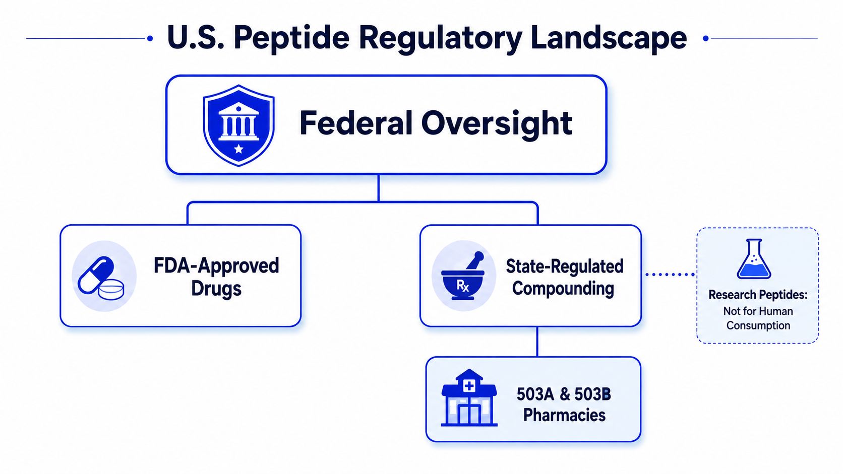A flow chart illustrating the U.S. regulatory landscape for peptides, including FDA-approved drugs and compounding pharmacies.