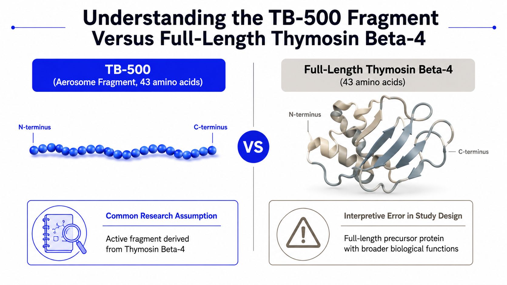 A diagram comparing the TB-500 peptide fragment to the full-length Thymosin Beta-4 protein structure.
