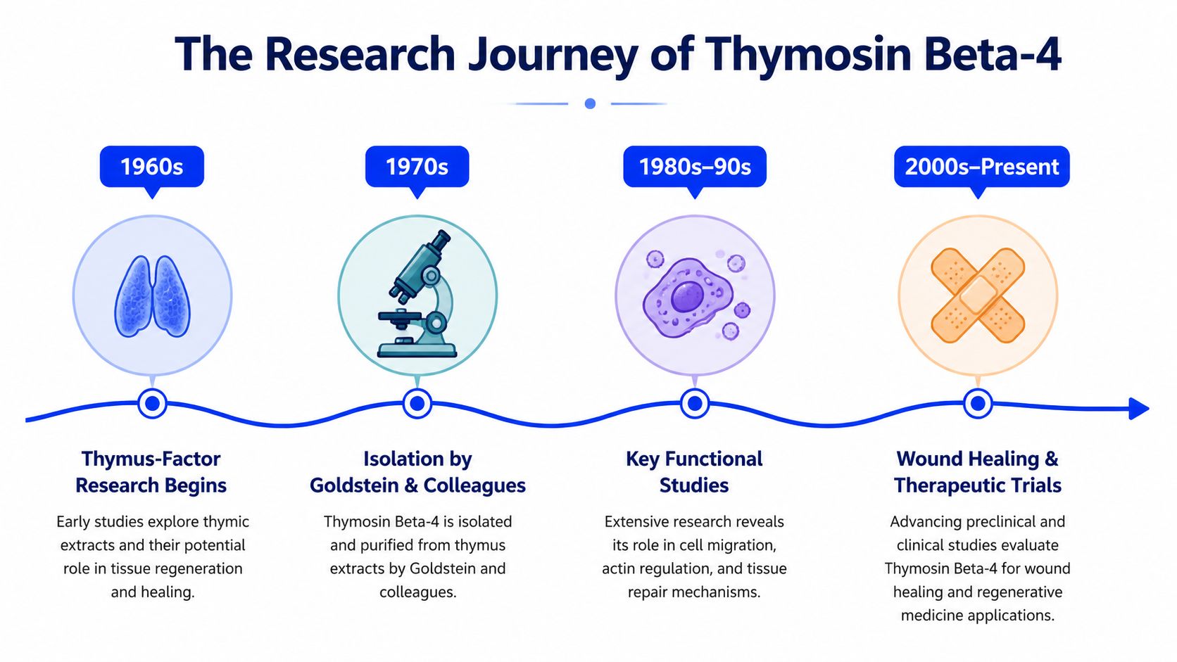 A timeline infographic illustrating the scientific research journey and development history of Thymosin Beta-4 over several decades.