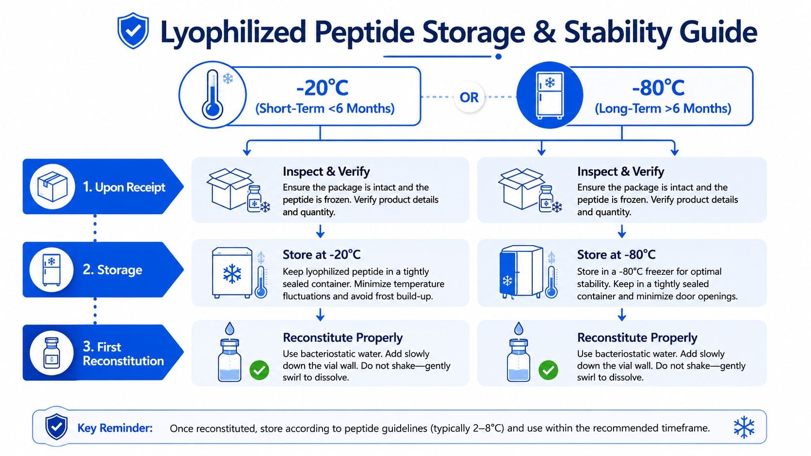 A professional infographic outlining proper storage, handling, and reconstitution procedures for lyophilized peptides in laboratory settings.