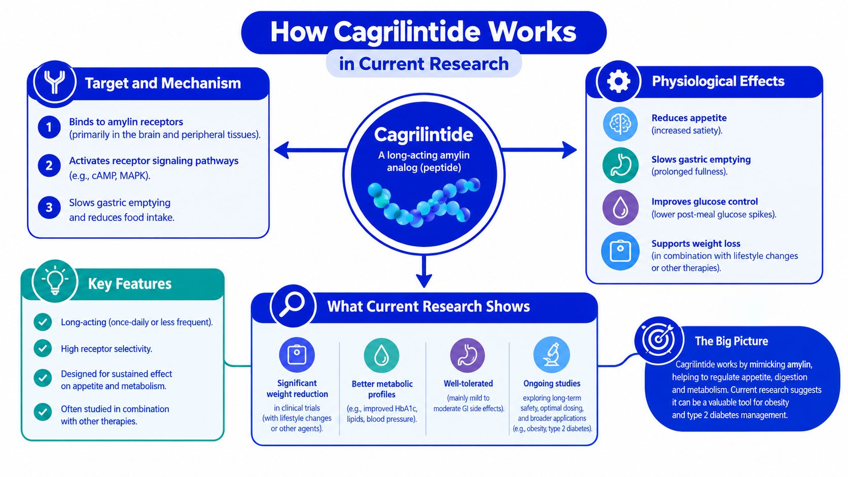 An infographic titled How Cagrilintide Works summarizing the mechanism, physiological effects, key features, and current research findings.
