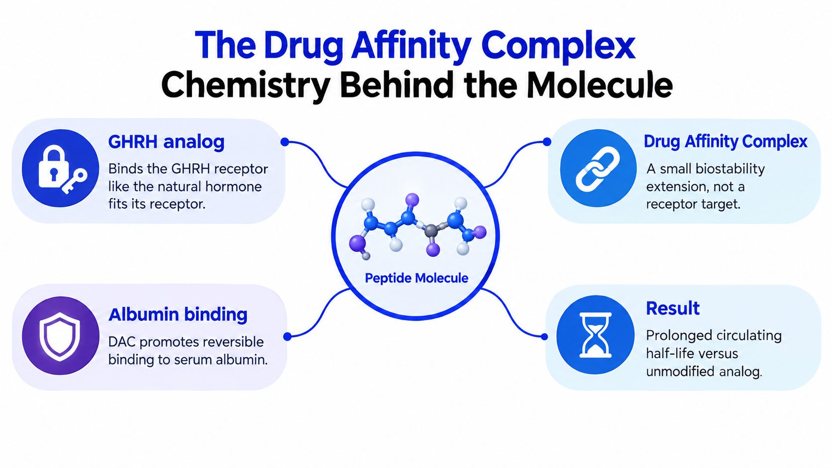 An infographic showing the chemistry and mechanism of the Drug Affinity Complex for peptide molecules.