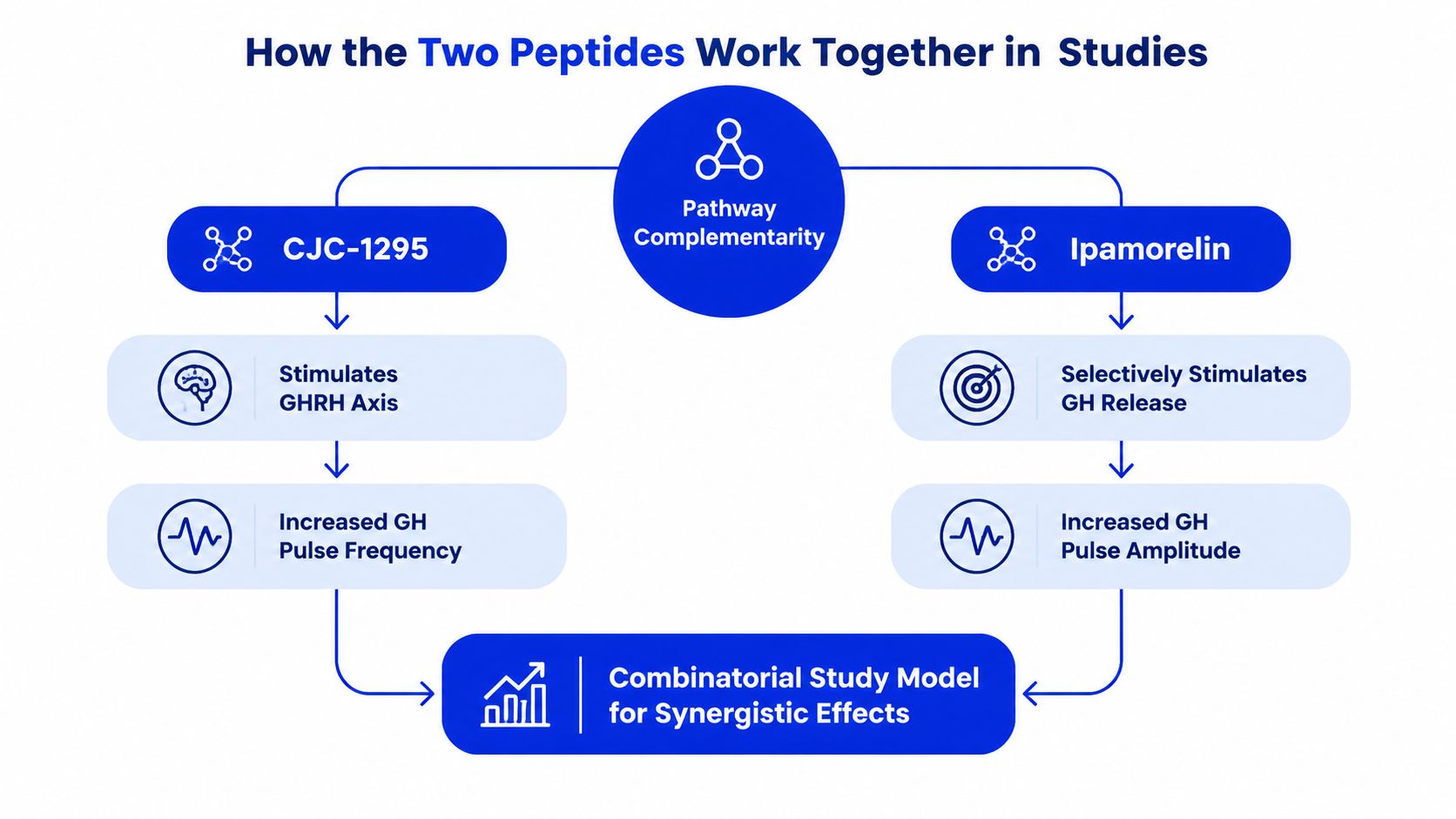 A diagram illustrating how CJC-1295 and Ipamorelin work together to enhance growth hormone release and study outcomes.
