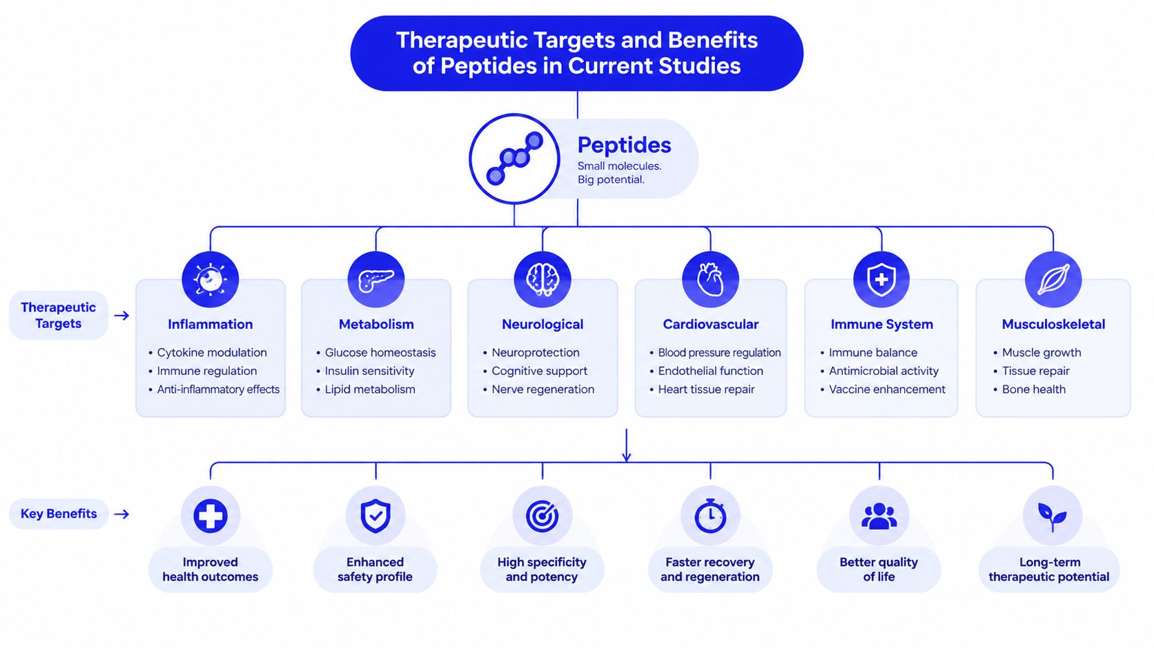 An infographic showing therapeutic targets and benefits of peptides in modern medical research.