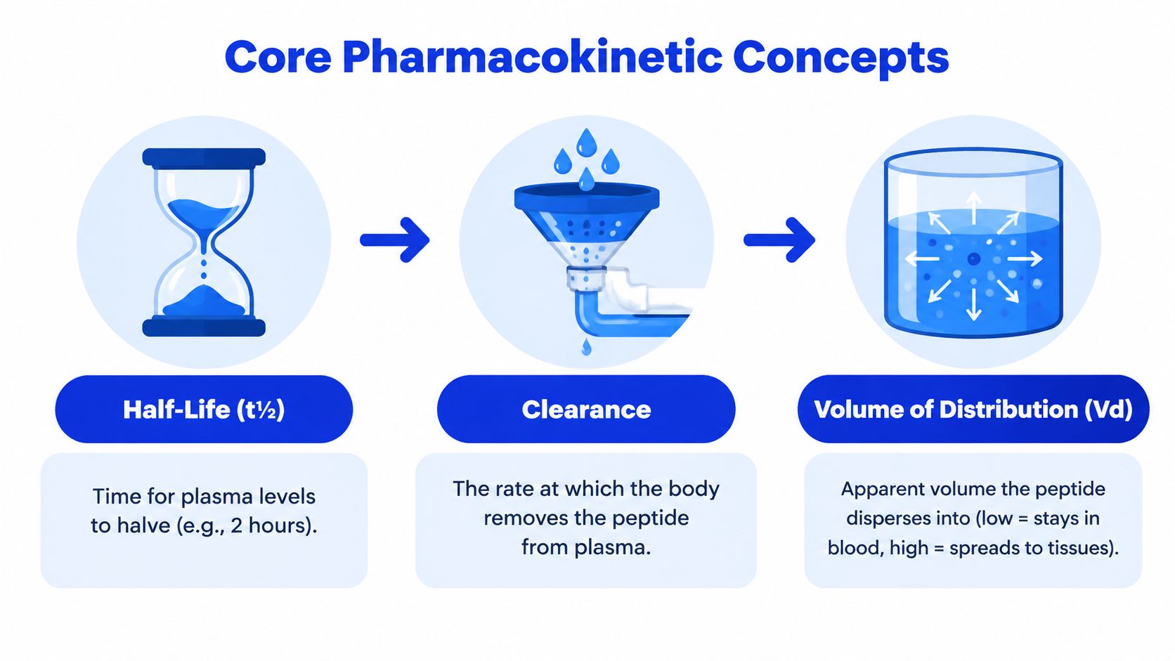 An infographic showing the three core pharmacokinetic concepts: half-life, clearance, and volume of distribution for peptides.
