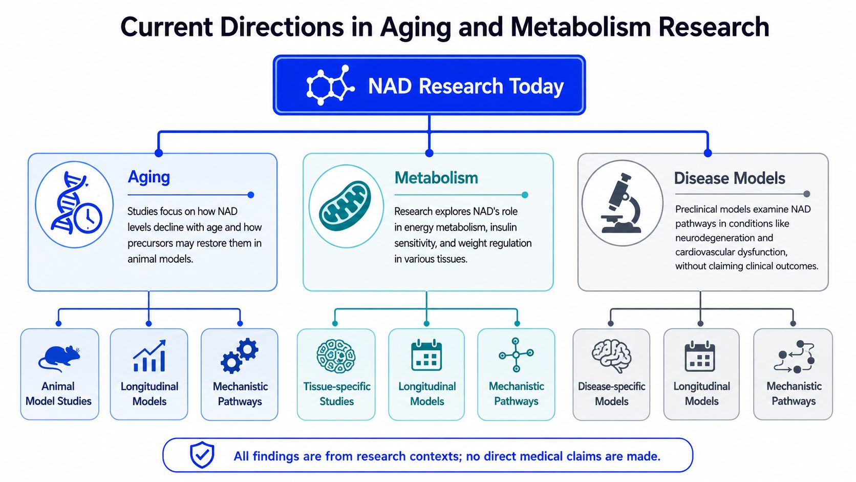 A flow chart outlining current research directions for NAD, covering aging, metabolism, and disease models.