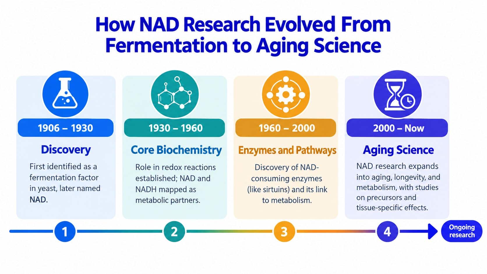 A timeline chart illustrating the historical progression of NAD research from discovery to modern aging science.
