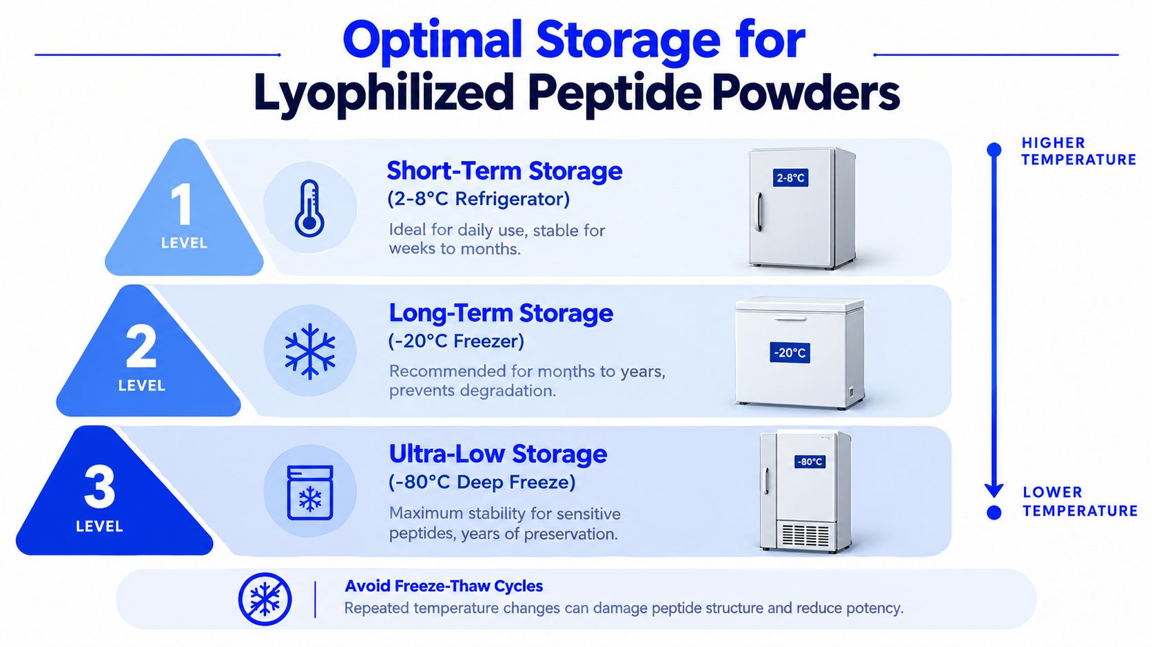 An infographic showing optimal storage temperatures for lyophilized peptide powders across three levels of cold environments.