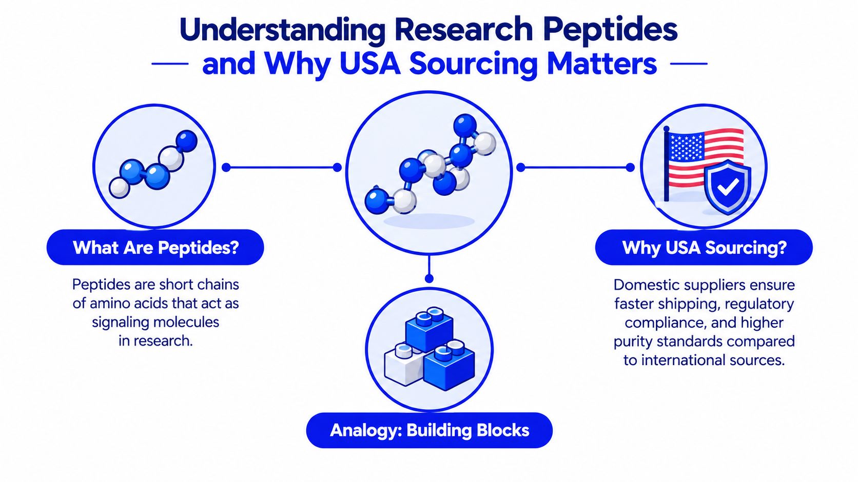 An infographic explaining that peptides are amino acid chains and why sourcing them from the USA is superior.