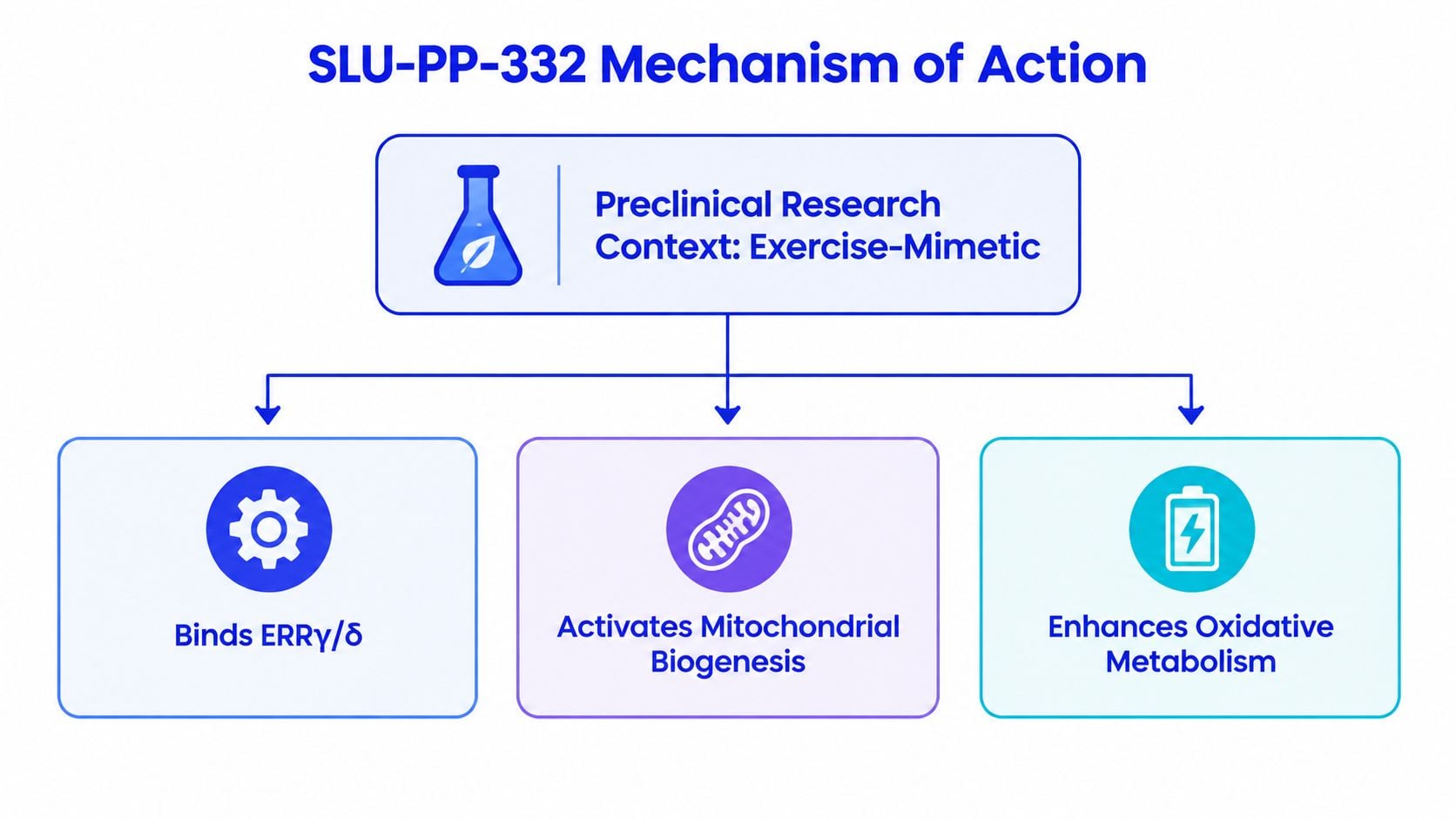 A diagram illustrating the mechanism of action of SLU-PP-332 as an exercise-mimetic drug promoting mitochondrial health.