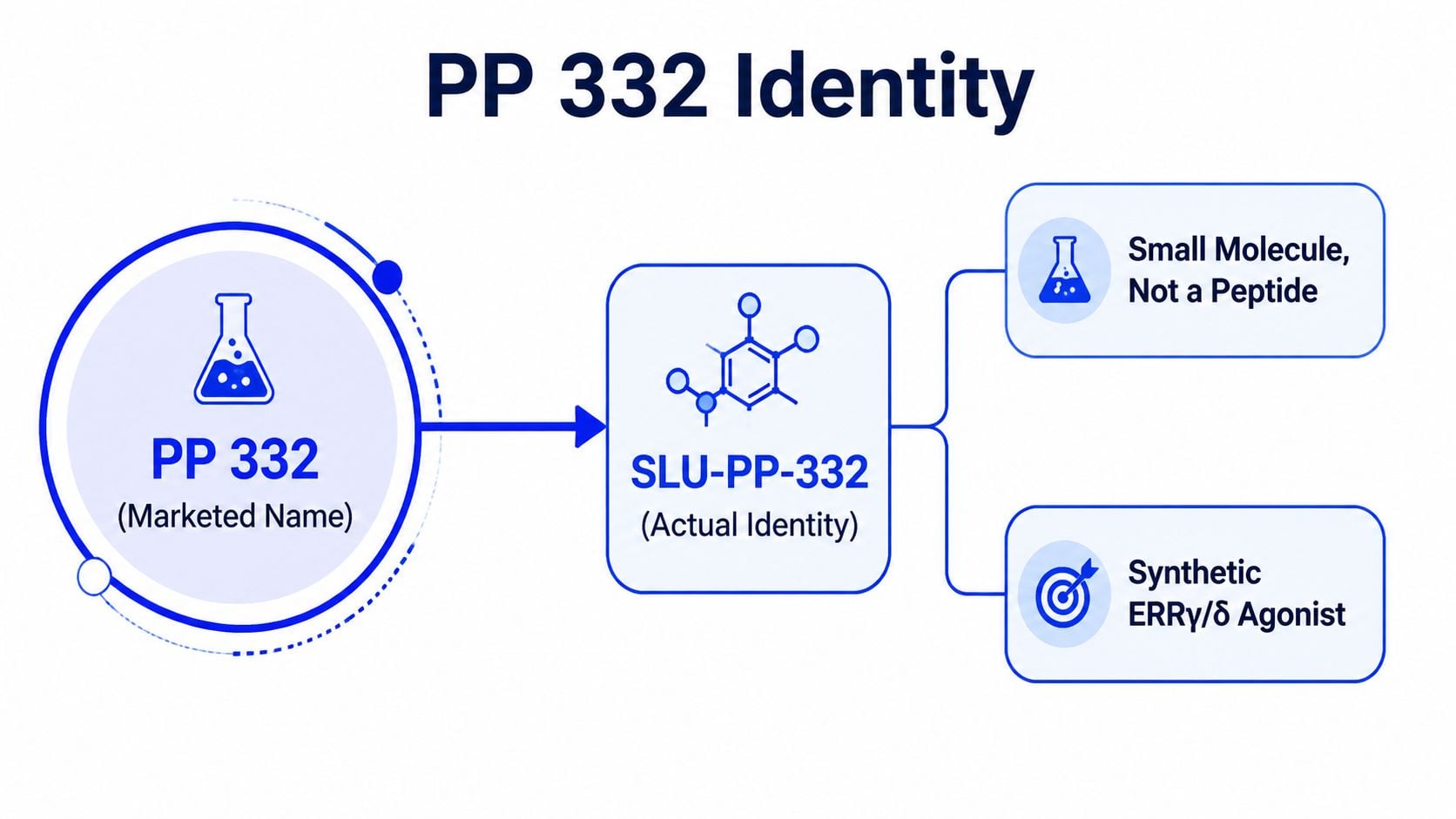 A diagram explaining that the product PP 332 is actually a small molecule named SLU-PP-332 and an ERRy/d agonist.