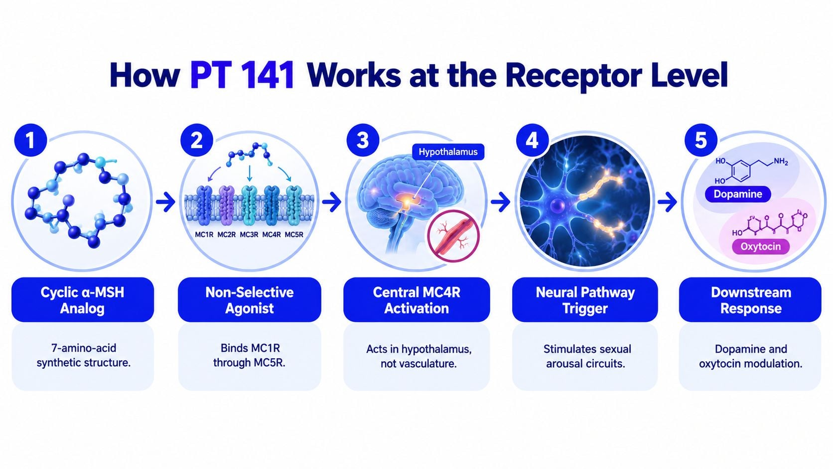 A diagram illustrating the five-step mechanism of action for PT 141 at the receptor level.