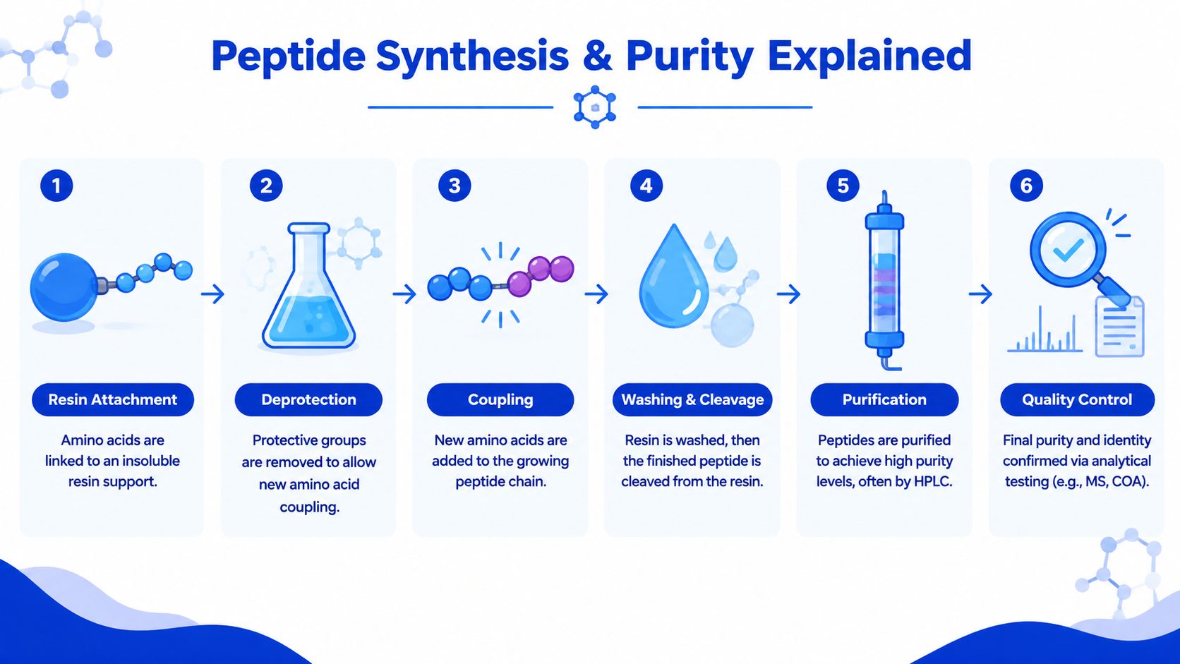 A six-step infographic detailing the scientific process of peptide synthesis, from resin attachment to quality control.