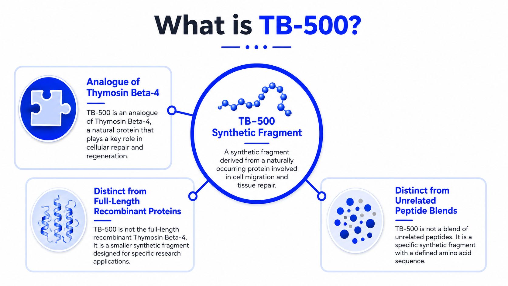 An infographic titled What is TB-500, explaining it is a synthetic fragment derived from Thymosin Beta-4 protein.