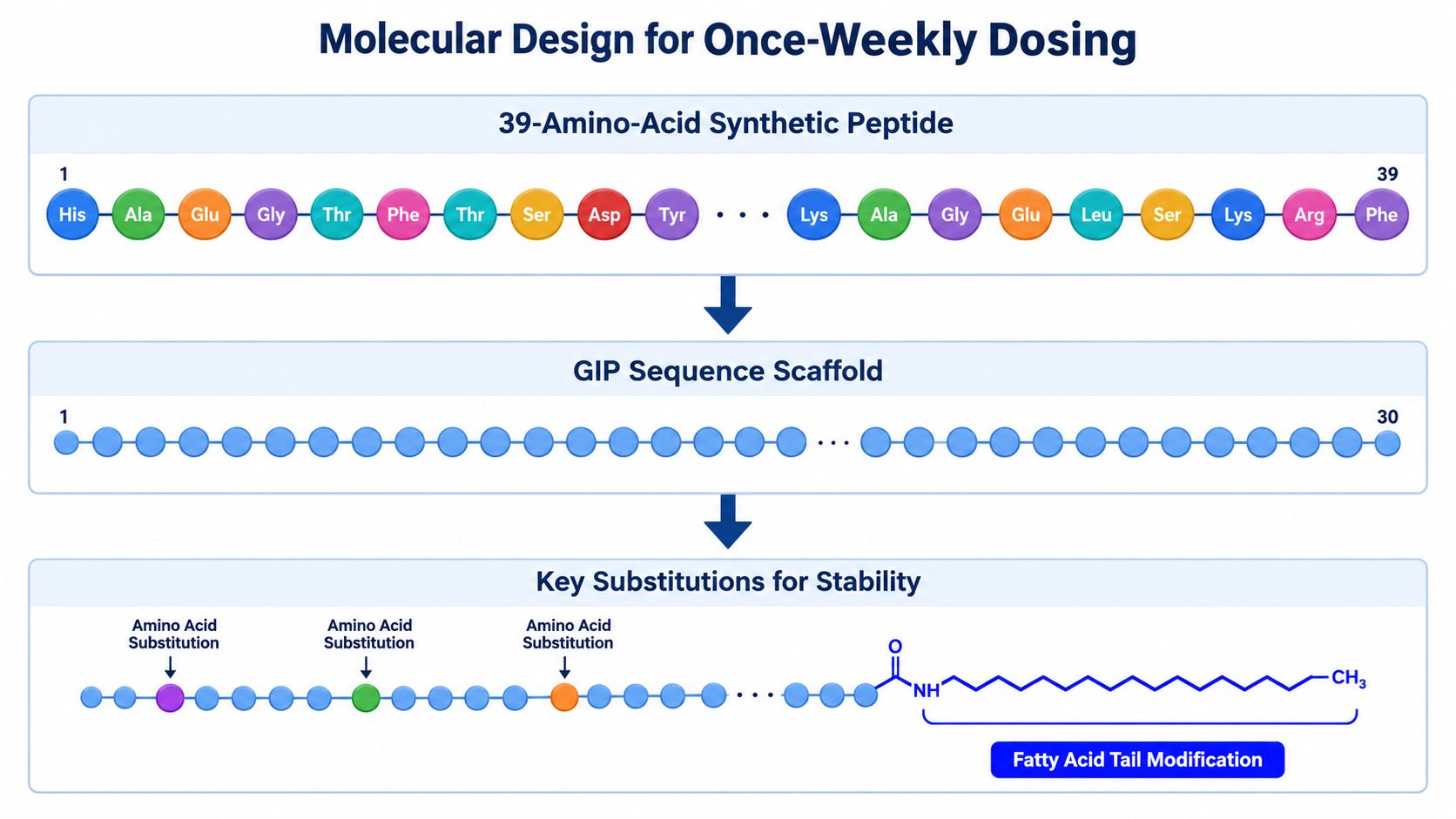 A diagram illustrating the molecular engineering of a synthetic peptide for once-weekly dosing, highlighting sequence modifications.