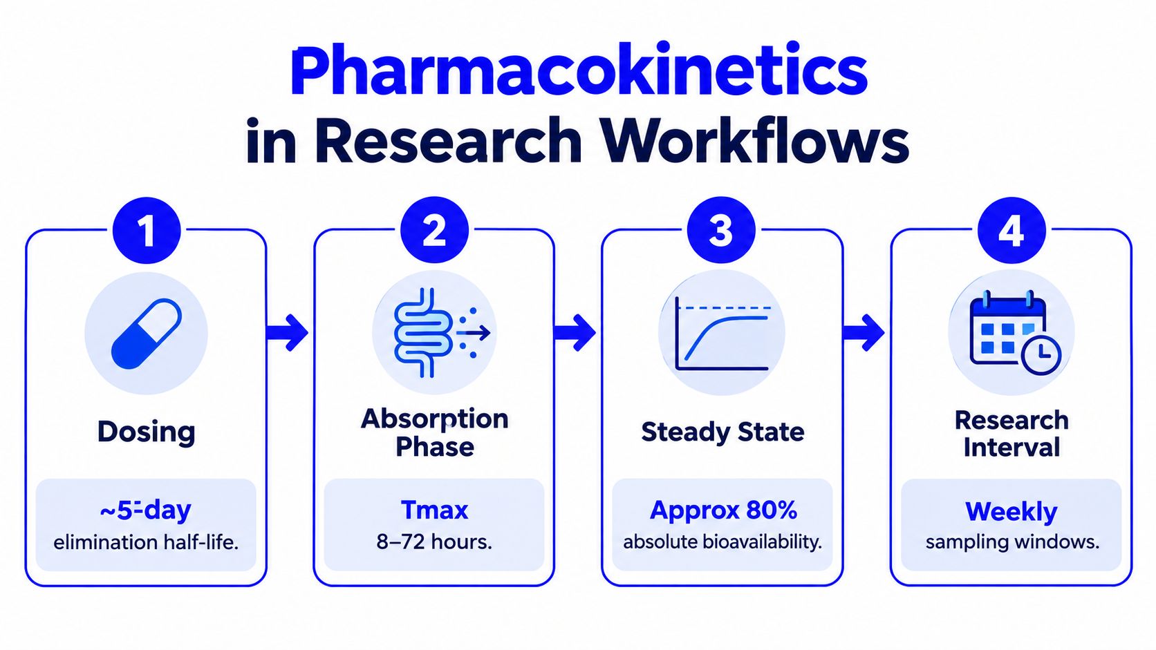 A four-step infographic illustrating pharmacokinetics in research workflows including dosing, absorption, steady state, and research intervals.