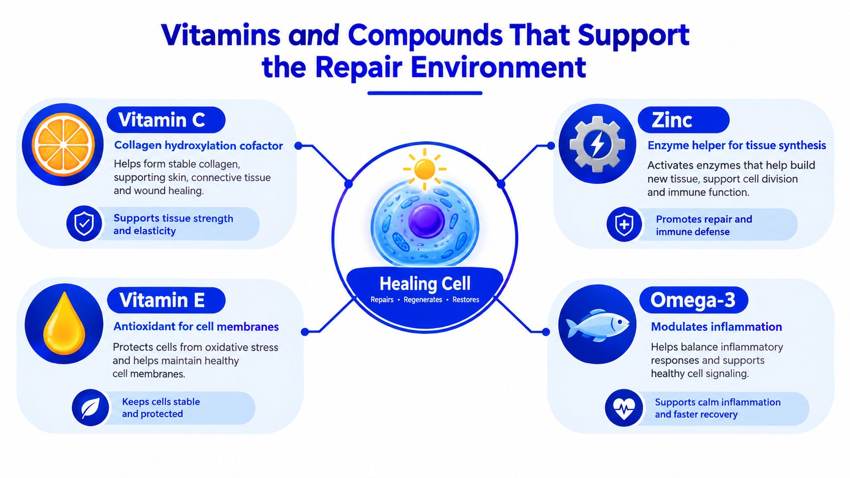 A diagram illustrating essential vitamins and compounds like Vitamin C, E, Zinc, and Omega-3 that support cellular repair.