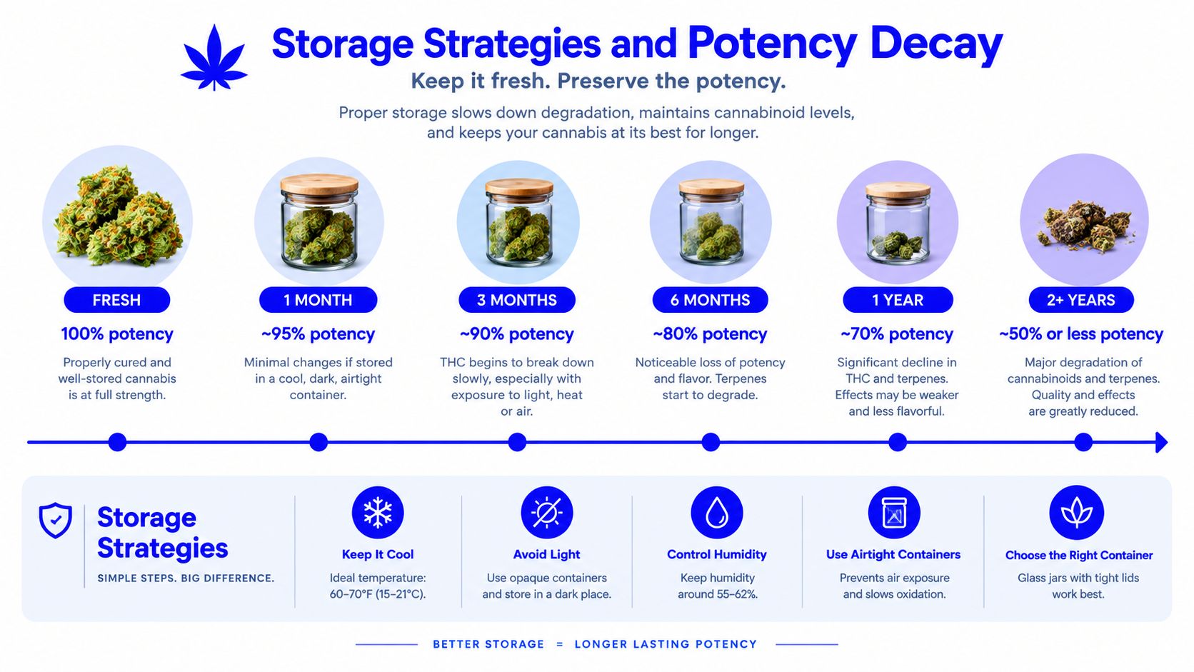 An infographic showing the decline of cannabis potency over time and best storage practices for preservation.